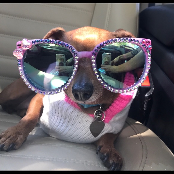 Meet your Posher ๐ธ - Picture 1 of 8